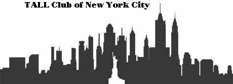 skyline banner